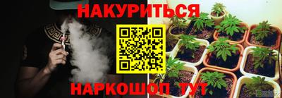 гашик Ливны