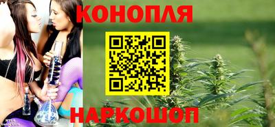гашик Ливны