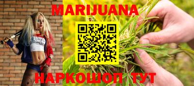 гашик Ливны