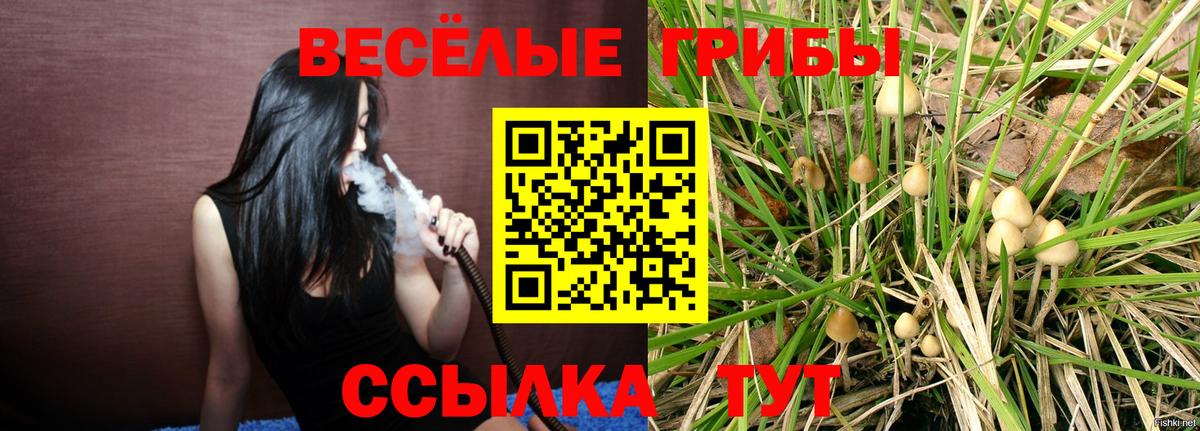 Псилоцибиновые грибы прущие грибы Еманжелинск